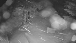 Bílá - běžecká trať