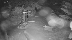 Bílá - běžecká trať