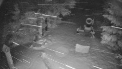 Bílá - běžecká trať