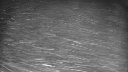 Bílá - běžecká trať