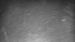 Bílá - běžecká trať