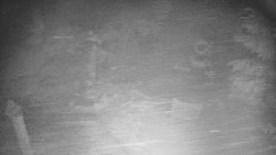 Bílá - běžecká trať