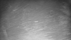 Bílá - běžecká trať