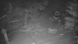 Bílá - běžecká trať