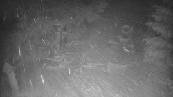 Bílá - běžecká trať