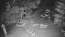 Bílá - běžecká trať