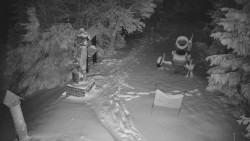 Bílá - běžecká trať