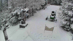 Bílá - běžecká trať