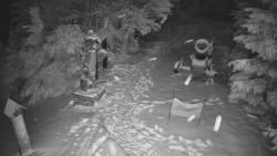 Bílá - běžecká trať