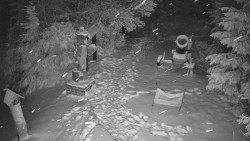 Bílá - běžecká trať