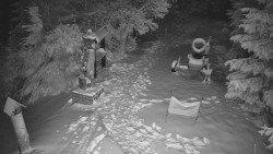 Bílá - běžecká trať