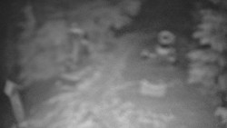 Bílá - běžecká trať