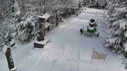 Bílá - běžecká trať