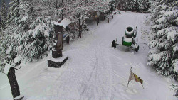 Bílá - běžecká trať