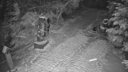 Bílá - běžecká trať