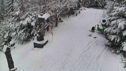 Bílá - běžecká trať