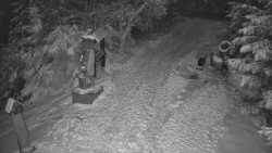 Bílá - běžecká trať