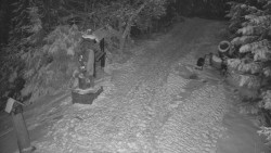 Bílá - běžecká trať