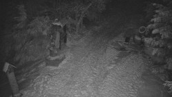 Bílá - běžecká trať