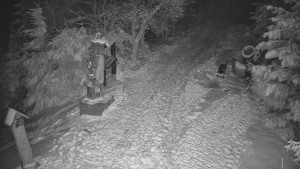 Skiareál Bílá - Bílá - běžecká trať - 20.2.2026 v 00:30