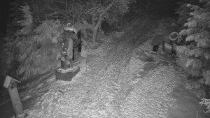 Skiareál Bílá - Bílá - běžecká trať - 20.2.2026 v 02:30