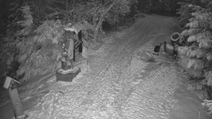 Skiareál Bílá - Bílá - běžecká trať - 20.2.2026 v 06:00