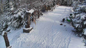 Skiareál Bílá - Bílá - běžecká trať - 20.2.2026 v 10:00