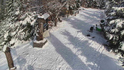 Bílá - běžecká trať