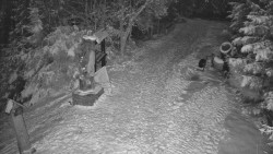 Bílá - běžecká trať