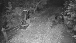 Bílá - běžecká trať