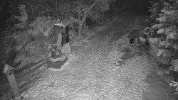 Bílá - běžecká trať