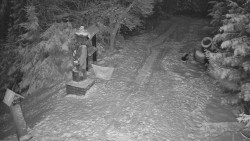 Bílá - běžecká trať