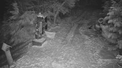 Bílá - běžecká trať