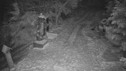 Bílá - běžecká trať