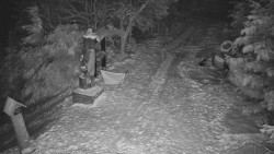 Bílá - běžecká trať