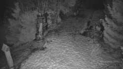 Bílá - běžecká trať