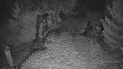 Bílá - běžecká trať