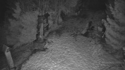 Bílá - běžecká trať