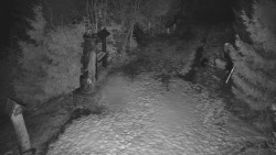 Bílá - běžecká trať