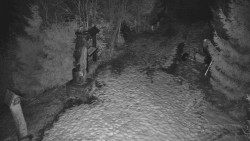 Bílá - běžecká trať