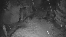 Bílá - běžecká trať