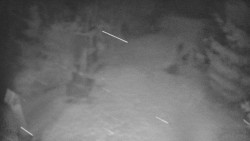 Bílá - běžecká trať