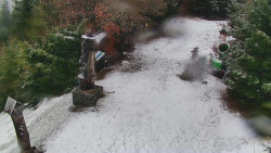 Bílá - běžecká trať