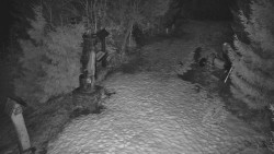 Bílá - běžecká trať