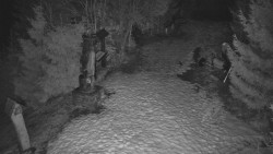 Bílá - běžecká trať