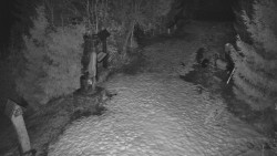 Bílá - běžecká trať