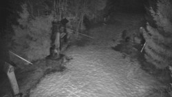 Bílá - běžecká trať