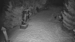 Bílá - běžecká trať