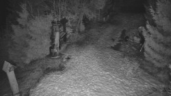 Bílá - běžecká trať