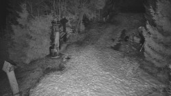 Bílá - běžecká trať